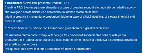 Yamamoto Nutrition Creatine Pro Creapure Quality - 150 Tabletas Yamamoto Nutrition Creatine Pro Creapure Quality - 150 Tabletas