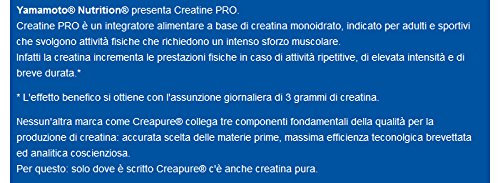 Yamamoto Nutrition Creatine Pro Creapure Quality - 150 Tabletas