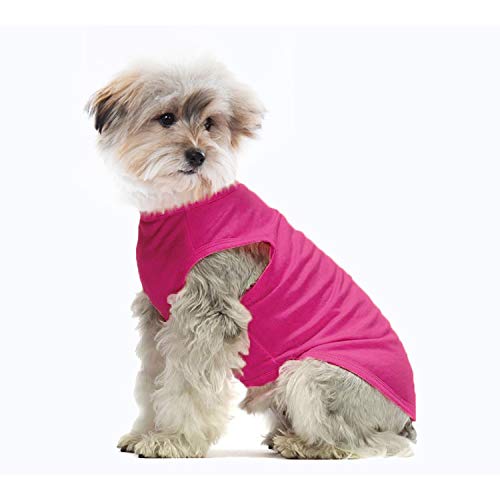 YAODHAOD Ropa de Perro de algodón de Color sólido Camisetas para Perros, Camisetas de algodón Suaves y Transpirables, Ropa para Perros pequeños, medianos, Gatos, 2 Piezas (XL, Blanco + Rosa) YAODHAOD Ropa de Perro de algodón de Color sólido Camisetas para Perros, Camisetas de algodón Suaves y Transpirables, Ropa para Perros pequeños, medianos, Gatos, 2 Piezas (XL, Blanco + Rosa)
