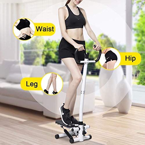 YF-SURINA Equipo de deportes de interior Stepper, Fitness Pedal Fitness Home Step Machine con manijas Twister Stepper ajustable con manillar, Healthy and Fitness Mini Stepper Equipo de ejercicio para