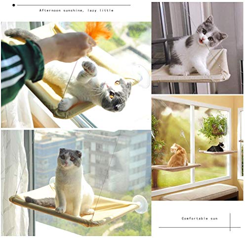YIQI Hamaca para Gato, diseño de Ahorro de Espacio, Percha para Ventana con ventosas Grandes, Cama de Gatito, Transpirable, Tela Oxford y Bolsa de Dormir montada en alféizar(55x32cm) YIQI Hamaca para Gato, diseño de Ahorro de Espacio, Percha para Ventana con ventosas Grandes, Cama de Gatito, Transpirable, Tela Oxford y Bolsa de Dormir montada en alféizar(55x32cm)