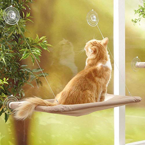 YIQI Hamaca para Gato, diseño de Ahorro de Espacio, Percha para Ventana con ventosas Grandes, Cama de Gatito, Transpirable, Tela Oxford y Bolsa de Dormir montada en alféizar(55x32cm) YIQI Hamaca para Gato, diseño de Ahorro de Espacio, Percha para Ventana con ventosas Grandes, Cama de Gatito, Transpirable, Tela Oxford y Bolsa de Dormir montada en alféizar(55x32cm)