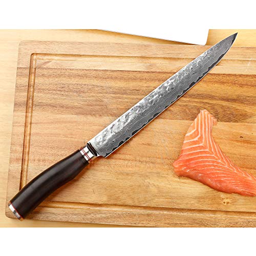 YOUSUNLONG Cuchillo para Cortar Carne de Damasco de 10 Pulgadas, Cuchillo Cortador Afilado, VG10 Super Acero 67 Capas Damasco, Hoja Afilada de Doble Cara, Mango amigable de ébano SL-DK10911B