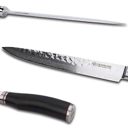 YOUSUNLONG Cuchillo para Cortar Carne de Damasco de 10 Pulgadas, Cuchillo Cortador Afilado, VG10 Super Acero 67 Capas Damasco, Hoja Afilada de Doble Cara, Mango amigable de ébano SL-DK10911B