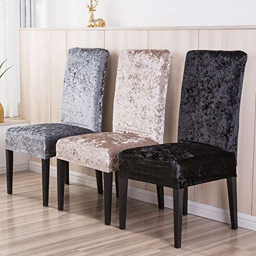 YYLSHCYHLI Funda para Silla 6 Piezas Funda de Tela de Terciopelo para Silla Tamaño Universal Fundas elásticas Fundas para sillas de Asiento elástico Restaurante Banquete Hotel LightGold YYLSHCYHLI Funda para Silla 6 Piezas Funda de Tela de Terciopelo para Silla Tamaño Universal Fundas elásticas Fundas para sillas de Asiento elástico Restaurante Banquete Hotel LightGold