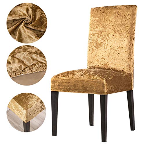 YYLSHCYHLI Funda para Silla 6 Piezas Funda de Tela de Terciopelo para Silla Tamaño Universal Fundas elásticas Fundas para sillas de Asiento elástico Restaurante Banquete Hotel LightGold