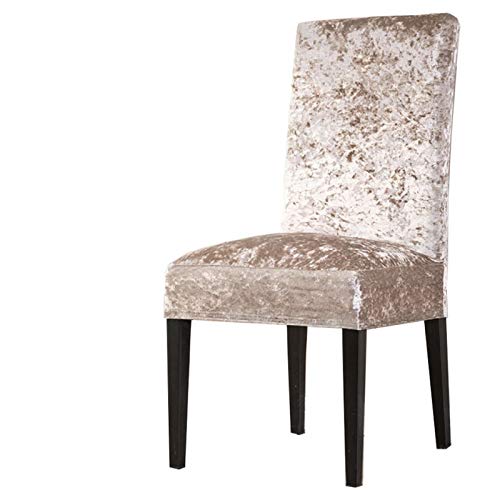 YYLSHCYHLI Funda para Silla 6 Piezas Funda de Tela de Terciopelo para Silla Tamaño Universal Fundas elásticas Fundas para sillas de Asiento elástico Restaurante Banquete Hotel LightGold YYLSHCYHLI Funda para Silla 6 Piezas Funda de Tela de Terciopelo para Silla Tamaño Universal Fundas elásticas Fundas para sillas de Asiento elástico Restaurante Banquete Hotel LightGold