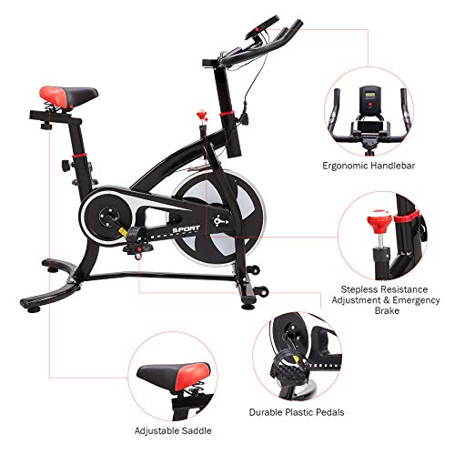 Z Zelus Bicicleta Estática para Fitness de Capacidad 100KG Bicicleta de Spinning Profesional con Volante 6KG Exercise Bike para Casa y Gimnasio