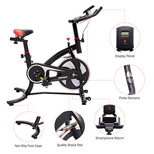 Z Zelus Bicicleta Estática para Fitness de Capacidad 100KG Bicicleta de Spinning Profesional con Volante 6KG Exercise Bike para Casa y Gimnasio