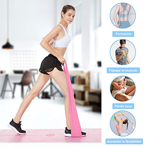 Zacro Bandas Elasticas Fitness 3 Pcs, 1.8M Banda de Resistencia de Fitness para Hombres y Mujeres, Ideal para Yoga, Pilates, Crossfit, Estiramiento, Entrenamiento de Fuerza, Culturismo, Fisioterapia Zacro Bandas Elasticas Fitness 3 Pcs, 1.8M Banda de Resistencia de Fitness para Hombres y Mujeres, Ideal para Yoga, Pilates, Crossfit, Estiramiento, Entrenamiento de Fuerza, Culturismo, Fisioterapia
