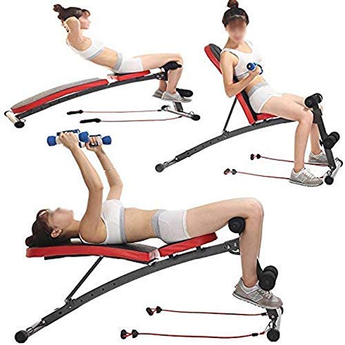 ZHANGYY Banco de Pesas Ajustable, Capacidad Plana, Inclinada y declinada para Ejercicios de Fuerza, Estiramiento y Abdominales ZHANGYY Banco de Pesas Ajustable, Capacidad Plana, Inclinada y declinada para Ejercicios de Fuerza, Estiramiento y Abdominales