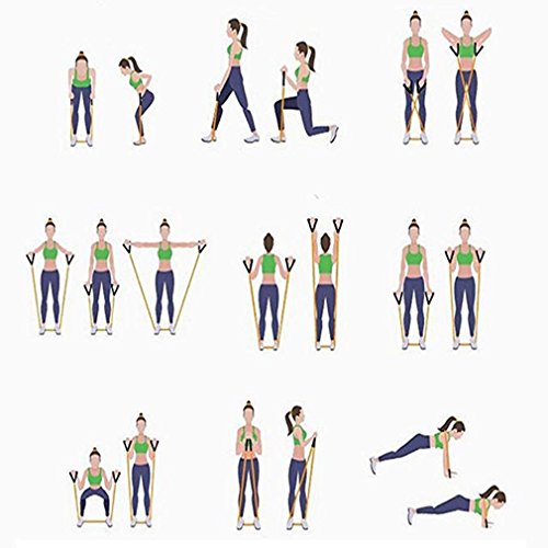 Zhongke Bandas de resistencia al ejercicio Set Yoga Strength Training Acondicionamiento Fitness Body Band, Tension Stretch Band, Elastic Workout Band para Yoga, Home Gym, Rehab entrenamiento de fuerza Zhongke Bandas de resistencia al ejercicio Set Yoga Strength Training Acondicionamiento Fitness Body Band, Tension Stretch Band, Elastic Workout Band para Yoga, Home Gym, Rehab entrenamiento de fuerza