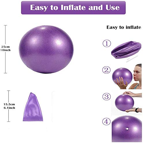 ZHOUZHOU Pelota de Mini Pilates 25cm Pelota de Ejercicios de Sports Balón de Yoga para Ejercicios Abdominales Masaje y Gimnasio en Casa y Ejercicios básicos de rehabilitación de Hombros (Morado)