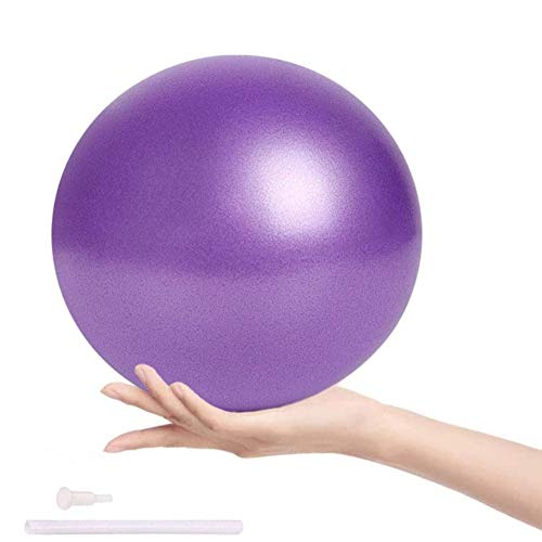 ZHOUZHOU Pelota de Mini Pilates 25cm Pelota de Ejercicios de Sports Balón de Yoga para Ejercicios Abdominales Masaje y Gimnasio en Casa y Ejercicios básicos de rehabilitación de Hombros (Morado)