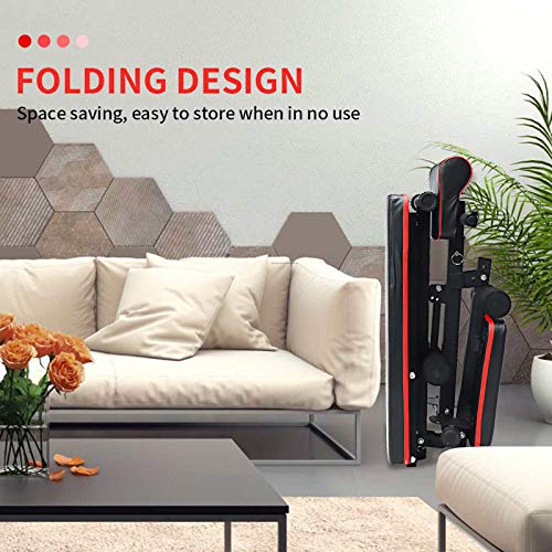 ZLASS Banco de Pesas, Banco de Asiento Ajustable, Banco de Pesas Plegable con Ajuste de Altura de 7 Niveles y Almohadilla Lumbar, Banco de Pesas Multifuncional para Gimnasio en casa ZLASS Banco de Pesas, Banco de Asiento Ajustable, Banco de Pesas Plegable con Ajuste de Altura de 7 Niveles y Almohadilla Lumbar, Banco de Pesas Multifuncional para Gimnasio en casa