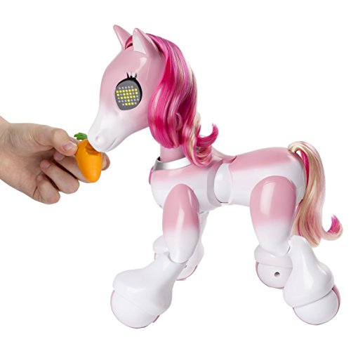 Zoomer Mostrar el Pony, versión importada