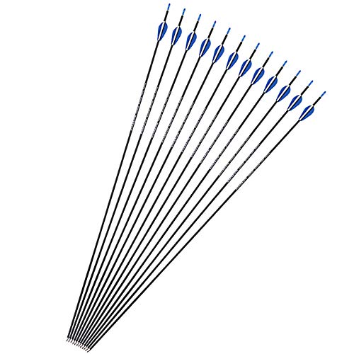 ZSHJGJR Flechas de Carbono 32 Pulgadas Tiro al Arco Flechas de Caza Spine 1200 para Arco Recurvo y Arco Compuesto Flechas para Caza o Práctica (12)