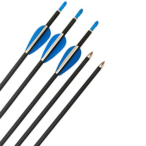 ZSHJGJR Flechas de Carbono 32 Pulgadas Tiro al Arco Flechas de Caza Spine 1200 para Arco Recurvo y Arco Compuesto Flechas para Caza o Práctica (12) ZSHJGJR Flechas de Carbono 32 Pulgadas Tiro al Arco Flechas de Caza Spine 1200 para Arco Recurvo y Arco Compuesto Flechas para Caza o Práctica (12)
