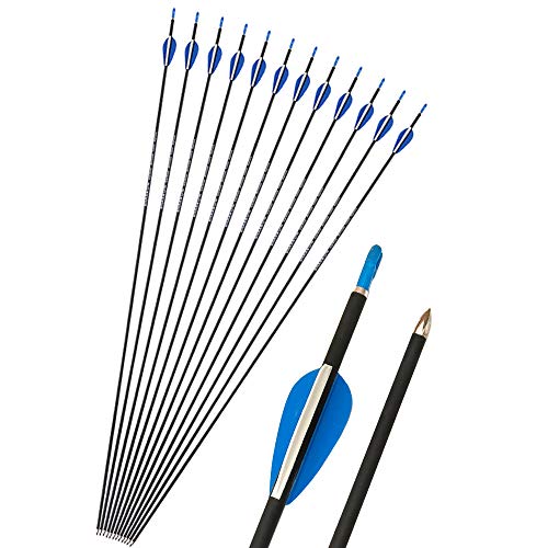 ZSHJGJR Flechas de Carbono 32 Pulgadas Tiro al Arco Flechas de Caza Spine 1200 para Arco Recurvo y Arco Compuesto Flechas para Caza o Práctica (12) ZSHJGJR Flechas de Carbono 32 Pulgadas Tiro al Arco Flechas de Caza Spine 1200 para Arco Recurvo y Arco Compuesto Flechas para Caza o Práctica (12)
