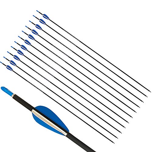ZSHJGJR Flechas de Carbono 32 Pulgadas Tiro al Arco Flechas de Caza Spine 1200 para Arco Recurvo y Arco Compuesto Flechas para Caza o Práctica (12) ZSHJGJR Flechas de Carbono 32 Pulgadas Tiro al Arco Flechas de Caza Spine 1200 para Arco Recurvo y Arco Compuesto Flechas para Caza o Práctica (12)