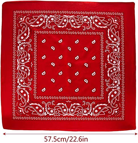 ZWOOS Bandanas Paisley, 12 Piezas Foulards, Pañuelos para el cuello para Hombre y Mujer (Negro)