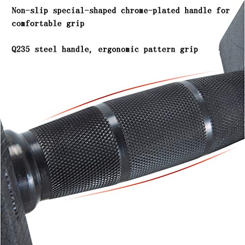 ZYCSKTL Mancuernas Aptitud Pesas, Pequeño Peso Combinación Hexágono Pesas, Pérdida De Peso del Bodybuilding Equipo Deportes Dumb Ling (Color : Black, Size : 10kg) ZYCSKTL Mancuernas Aptitud Pesas, Pequeño Peso Combinación Hexágono Pesas, Pérdida De Peso del Bodybuilding Equipo Deportes Dumb Ling (Color : Black, Size : 10kg)