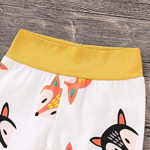 0-24M recién nacidos niños niñas manga larga Tops mameluco dinosaurio Fox pantalones sombrero trajes para bebé niño pequeño - - 0-6 meses