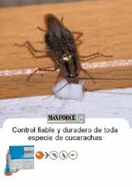 1 Tubo MAXFORCE White IC 30 Gramos INSECTICIDA Potente Gel Profesional 2,14% IMIDACLOPID Eliminar CUCARACHAS Efectivo Control PLAGAS CASA Cocina BAÑO Envio Desde ESPAÑA SIN Caja