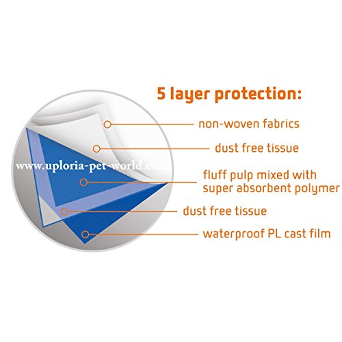 100 Empapadores Para Entrenar A Cachorros + 5 Extra GRATIS | 60 cm x 60 cm Nuevo Tamaño Superabsorbente | Esta Nueva Y Unica Solución De 5 Capas Protege Las Alfombras De Los Suelos Laminados Del Olor 100 Empapadores Para Entrenar A Cachorros + 5 Extra GRATIS | 60 cm x 60 cm Nuevo Tamaño Superabsorbente | Esta Nueva Y Unica Solución De 5 Capas Protege Las Alfombras De Los Suelos Laminados Del Olor