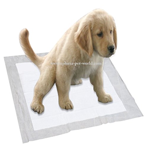 100 Empapadores Para Entrenar A Cachorros + 5 Extra GRATIS | 60 cm x 60 cm Nuevo Tamaño Superabsorbente | Esta Nueva Y Unica Solución De 5 Capas Protege Las Alfombras De Los Suelos Laminados Del Olor 100 Empapadores Para Entrenar A Cachorros + 5 Extra GRATIS | 60 cm x 60 cm Nuevo Tamaño Superabsorbente | Esta Nueva Y Unica Solución De 5 Capas Protege Las Alfombras De Los Suelos Laminados Del Olor