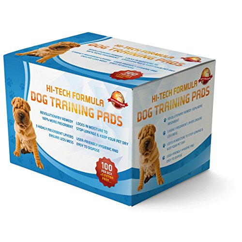 100 Empapadores Para Entrenar A Cachorros + 5 Extra GRATIS | 60 cm x 60 cm Nuevo Tamaño Superabsorbente | Esta Nueva Y Unica Solución De 5 Capas Protege Las Alfombras De Los Suelos Laminados Del Olor 100 Empapadores Para Entrenar A Cachorros + 5 Extra GRATIS | 60 cm x 60 cm Nuevo Tamaño Superabsorbente | Esta Nueva Y Unica Solución De 5 Capas Protege Las Alfombras De Los Suelos Laminados Del Olor