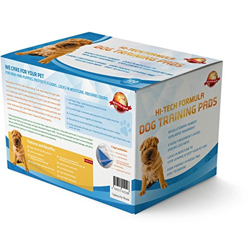 100 Empapadores Para Entrenar A Cachorros + 5 Extra GRATIS | 60 cm x 60 cm Nuevo Tamaño Superabsorbente | Esta Nueva Y Unica Solución De 5 Capas Protege Las Alfombras De Los Suelos Laminados Del Olor 100 Empapadores Para Entrenar A Cachorros + 5 Extra GRATIS | 60 cm x 60 cm Nuevo Tamaño Superabsorbente | Esta Nueva Y Unica Solución De 5 Capas Protege Las Alfombras De Los Suelos Laminados Del Olor