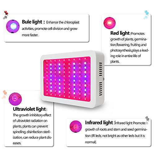 1000W LED Lámpara de Ia Planta de Espectro Completo Crece Ia Luz de la Planta Grow Light Ligera Para Plantas de Interior Verdura Flores 1000W LED Lámpara de Ia Planta de Espectro Completo Crece Ia Luz de la Planta Grow Light Ligera Para Plantas de Interior Verdura Flores