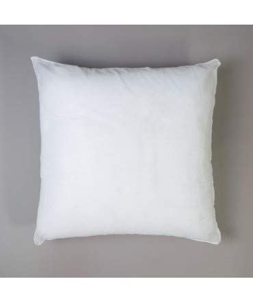 10XDIEZ Relleno cojin 2 Unidades - Relleno Suave y Esponjoso Que no se deforma - para Combinar con Cualquier Funda de cojín - Medidas cojin - 50x50cm 10XDIEZ Relleno cojin 2 Unidades - Relleno Suave y Esponjoso Que no se deforma - para Combinar con Cualquier Funda de cojín - Medidas cojin - 50x50cm