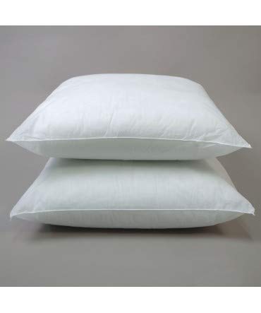 10XDIEZ Relleno cojin 2 Unidades - Relleno Suave y Esponjoso Que no se deforma - para Combinar con Cualquier Funda de cojín - Medidas cojin - 50x50cm 10XDIEZ Relleno cojin 2 Unidades - Relleno Suave y Esponjoso Que no se deforma - para Combinar con Cualquier Funda de cojín - Medidas cojin - 50x50cm