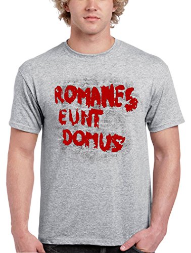 1379-Camiseta Romanes Eunt (Karlangas)