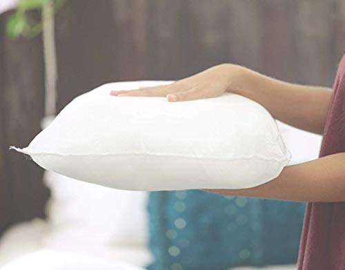 2 Rellenos cojines sofa hipoalergénicas para funda cojines decoracion y para almohadas de cama (45x45) 2 Rellenos cojines sofa hipoalergénicas para funda cojines decoracion y para almohadas de cama (45x45)