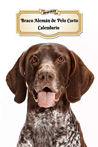 2020 Braco Alemán de Pelo Corto Calendario: 107 Páginas | Tamaño A5 | Planificador Semanal | 12 Meses | 1 Semana en 2 Páginas | Agenda Semana Vista | Tapa Blanda | Perro