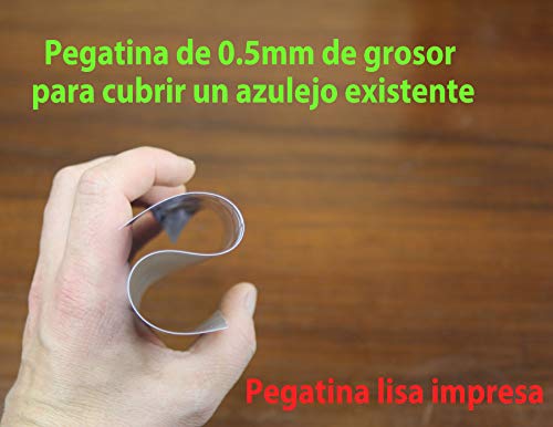 24x Negro blanco Lámina impresa 2d PEGATINAS lisas para pegar sobre azulejos cuadrados de 15cm en cocina, baños – resistentes al agua y aceite