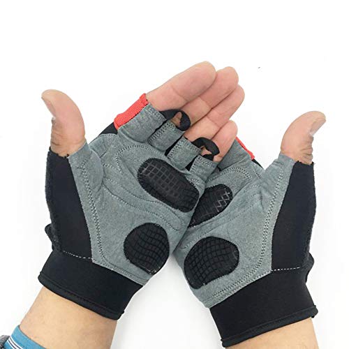 2Fit - Guantes de levantamiento de pesas para gimnasio, fitness, crossfit, ejercicio, culturismo, entrenamiento de manos y deportes, para ciclismo, mitad de dedo, unisex, hombre, color negro/rojo, tamaño Small 2Fit - Guantes de levantamiento de pesas para gimnasio, fitness, crossfit, ejercicio, culturismo, entrenamiento de manos y deportes, para ciclismo, mitad de dedo, unisex, hombre, color negro/rojo, tamaño Small