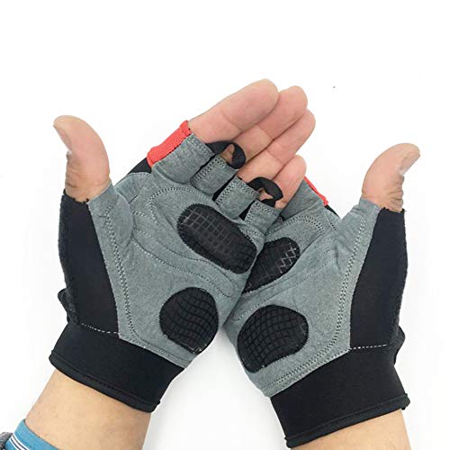 2Fit - Guantes de levantamiento de pesas para gimnasio, fitness, crossfit, ejercicio, culturismo, entrenamiento de manos y deportes, para ciclismo, mitad de dedo, unisex, hombre, color negro/rojo, tamaño Small