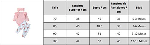 3 Piezas Ropa de Bebé Conjunto Mameluco de Manga Larga Pantalones Largos Diadema Traje para Recién Nacida Mono de Cuerpo para Niñas Pequeñas (Rosa + Flamenco, 0-3 Meses)
