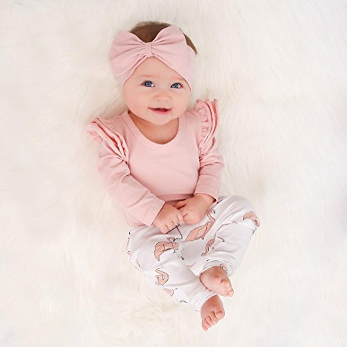 3 Piezas Ropa de Bebé Conjunto Mameluco de Manga Larga Pantalones Largos Diadema Traje para Recién Nacida Mono de Cuerpo para Niñas Pequeñas (Rosa + Flamenco, 0-3 Meses) 3 Piezas Ropa de Bebé Conjunto Mameluco de Manga Larga Pantalones Largos Diadema Traje para Recién Nacida Mono de Cuerpo para Niñas Pequeñas (Rosa + Flamenco, 0-3 Meses)