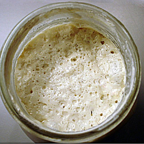 38 Year Old Genuine Lake District Organic Wild Yeast sourd ough Starter Rye whol emeal Bread Starter – 80 g 38 Year Old Genuine Lake District Organic Wild Yeast sourd ough Starter Rye whol emeal Bread Starter – 80 g