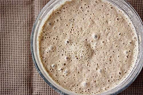 38 Year Old Genuine Lake District Organic Wild Yeast sourd ough Starter Rye whol emeal Bread Starter – 80 g 38 Year Old Genuine Lake District Organic Wild Yeast sourd ough Starter Rye whol emeal Bread Starter – 80 g