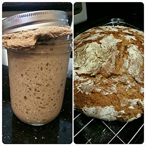 38 Year Old Genuine Lake District Organic Wild Yeast sourd ough Starter Rye whol emeal Bread Starter – 80 g 38 Year Old Genuine Lake District Organic Wild Yeast sourd ough Starter Rye whol emeal Bread Starter – 80 g