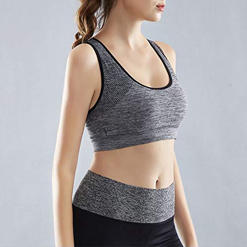 3Pcs Sujetadores Deportivo Mujer Almohadilla Desmontable Sin Costuras Bra Deporte Bralette con Almohadillas Extraíbles Cómodo Tank Top Camisole Mujer para Gimnasio Yoga Bailar, Violeta/Gris/Azul (S)