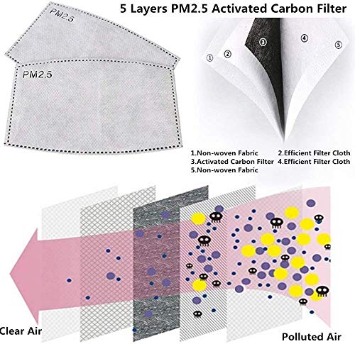 50 unidadesfiltros de carbón activado PM2.5 5 capas reemplazables de papel de filtro antiniebla