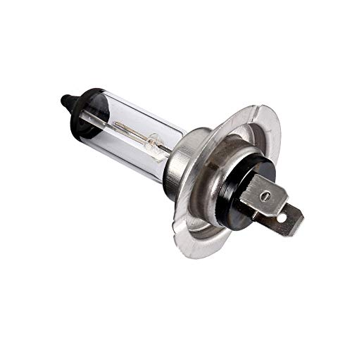 58054 - lámpara halógena bombilla bombilla de repuesto H7 12V 100W PX26D 58054 - lámpara halógena bombilla bombilla de repuesto H7 12V 100W PX26D