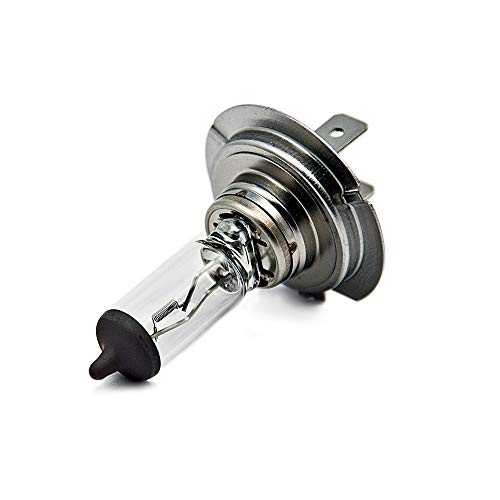 58054 - lámpara halógena bombilla bombilla de repuesto H7 12V 100W PX26D 58054 - lámpara halógena bombilla bombilla de repuesto H7 12V 100W PX26D